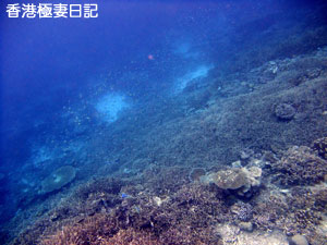 f0190653_15472846.jpg