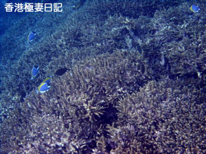 f0190653_15473175.jpg
