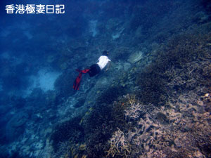 f0190653_15473447.jpg