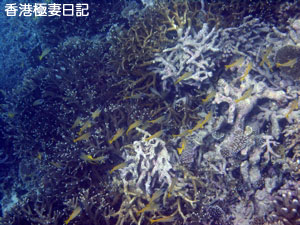 f0190653_15473719.jpg