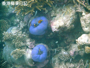 f0190653_15474339.jpg