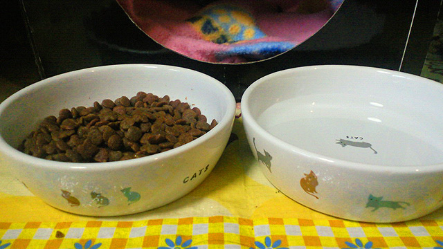 d0199754_9352227.jpg