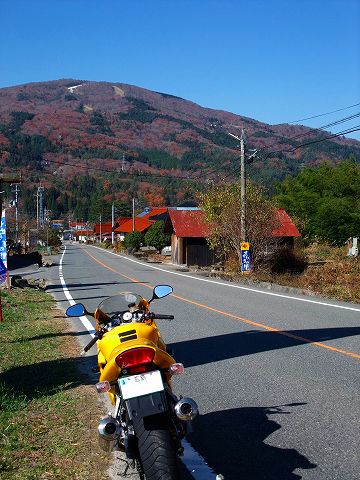 e0045768_2112047.jpg