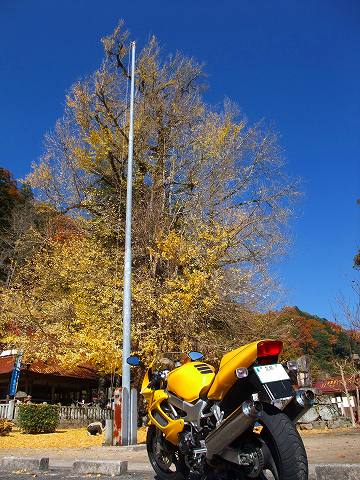 e0045768_214583.jpg