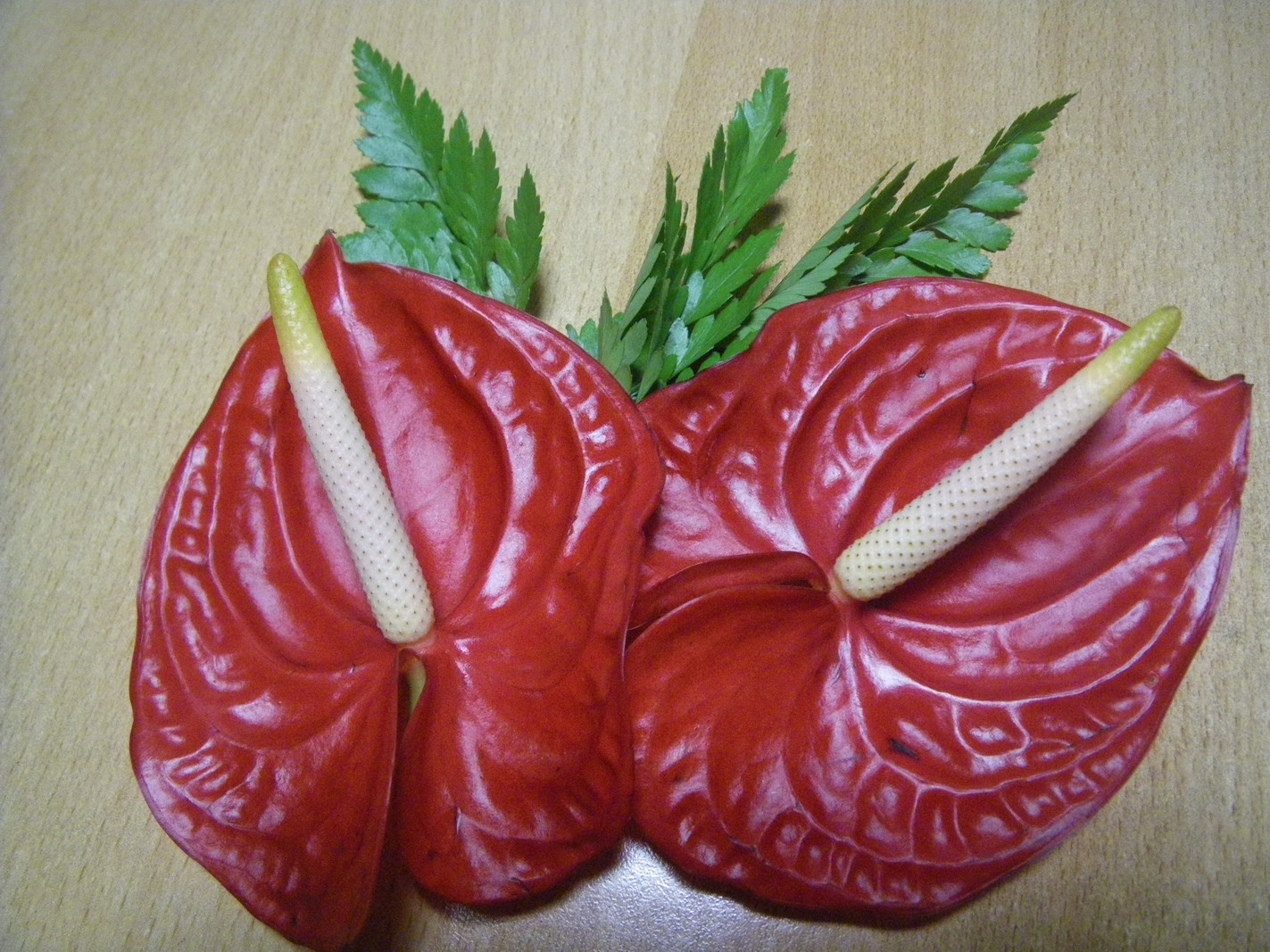 f0157268_2237014.jpg