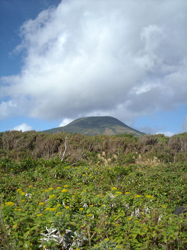 e0097770_2241164.jpg