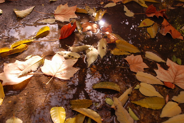 c0204971_22351679.jpg