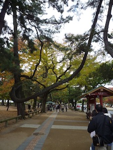 b0207673_15453746.jpg
