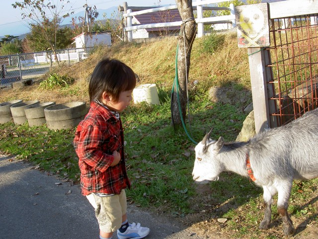 f0121480_20251195.jpg