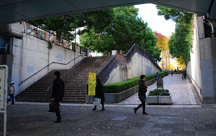 c0009981_1543857.jpg