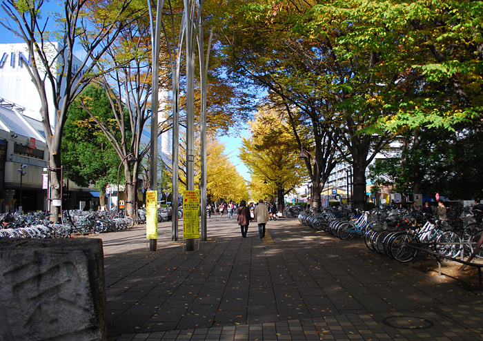 c0009981_1551575.jpg