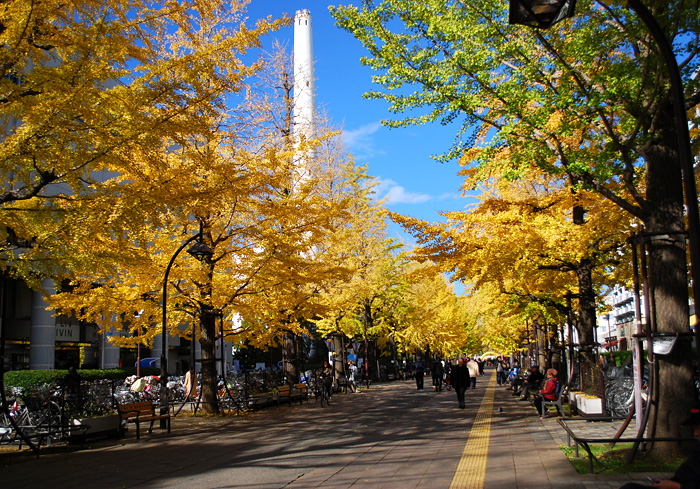c0009981_1553144.jpg