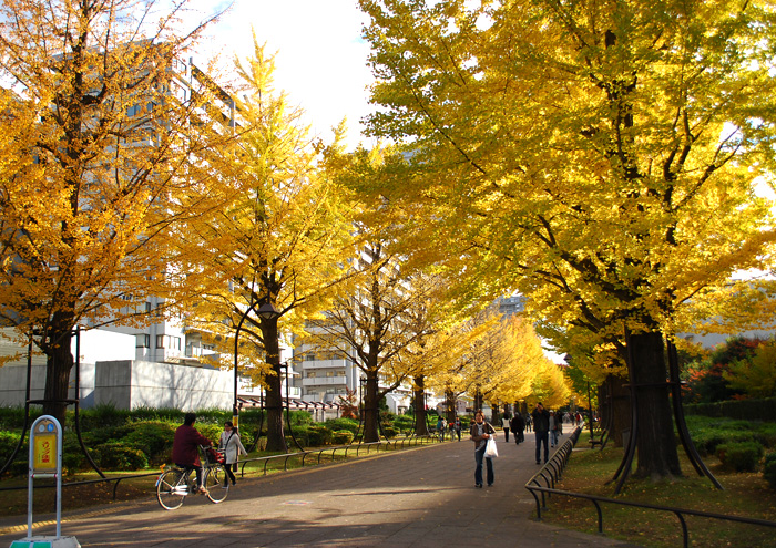 c0009981_1563267.jpg