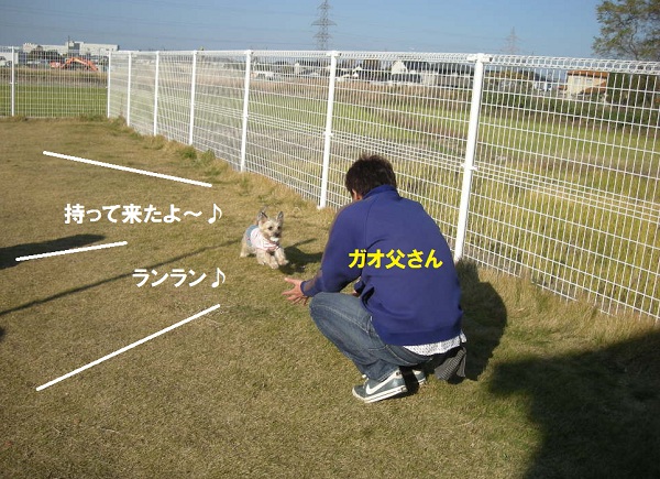 e0066883_1432348.jpg