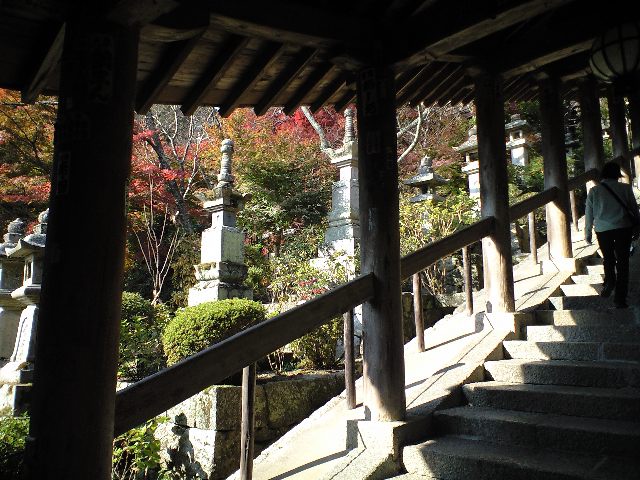 f0051283_16353665.jpg