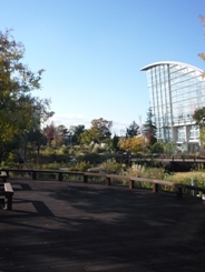 a0152785_1504890.jpg