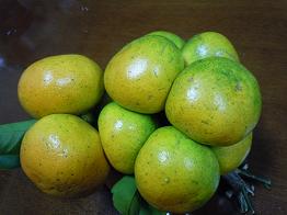 c0204385_17221440.jpg