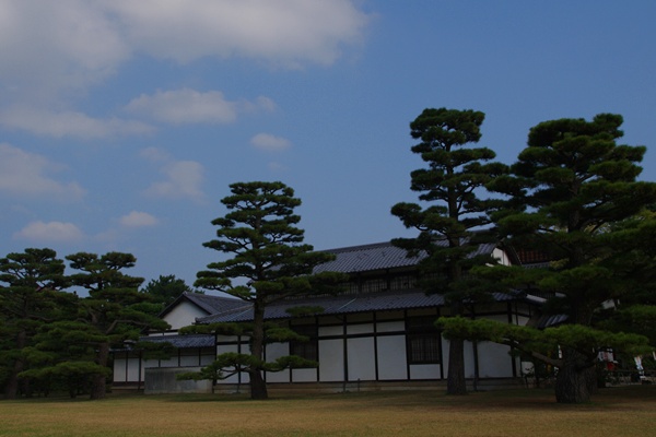 a0082787_1982460.jpg