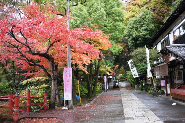 a0127090_19545998.jpg