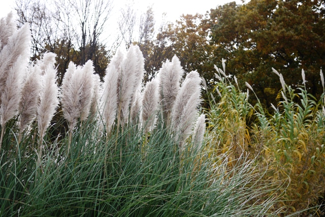a0127090_23522138.jpg