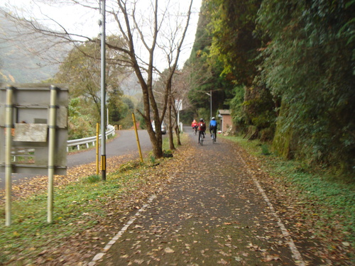 e0111793_1532438.jpg