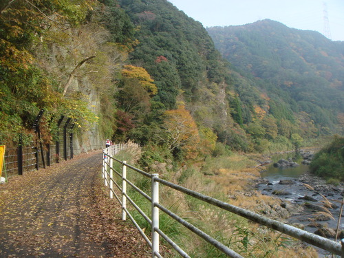 e0111793_1544222.jpg