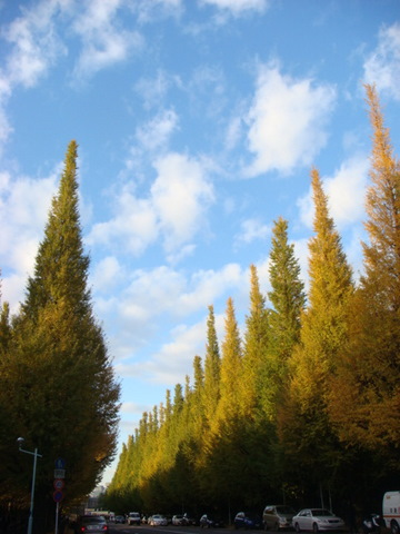 f0137694_23373098.jpg