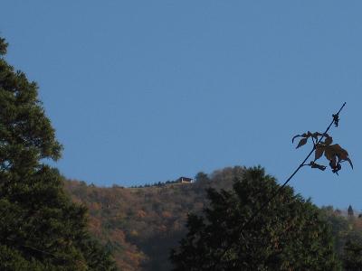 c0118495_20121819.jpg