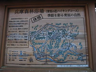 c0118495_20141751.jpg
