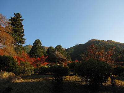 c0118495_2084043.jpg