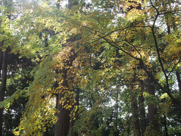 b0044296_19455139.jpg