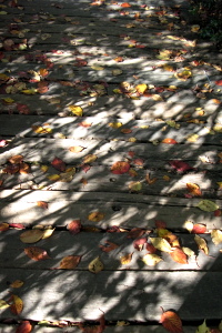 f0103797_20112411.jpg