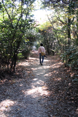f0103797_209265.jpg