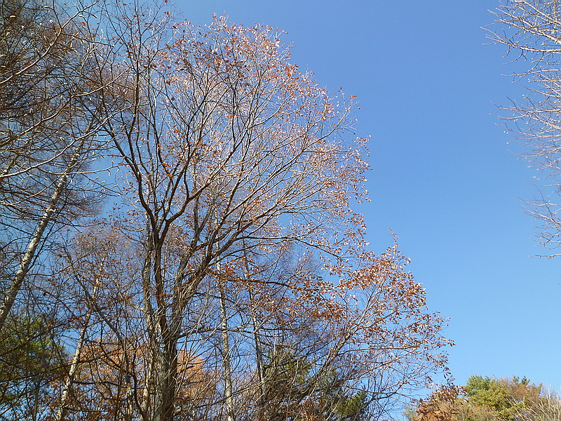c0138198_8124186.jpg
