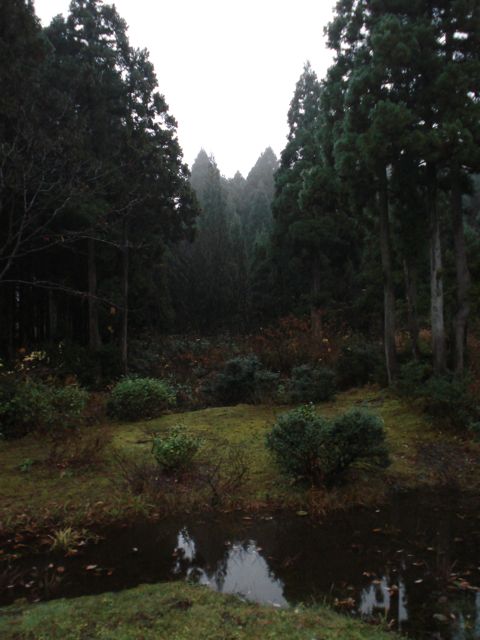 a0061599_731580.jpg