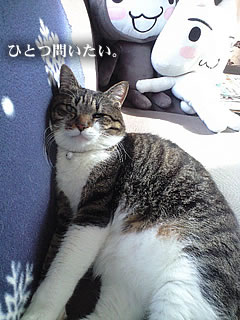 c0035001_14475397.jpg