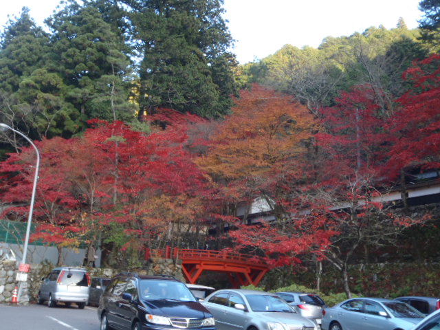 a0121502_20492675.jpg