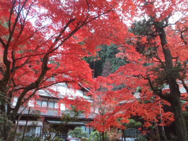 a0121502_2050450.jpg