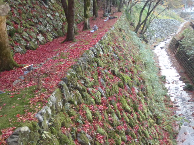 a0121502_20545565.jpg