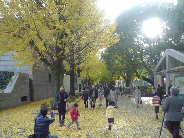 a0116205_235340.jpg