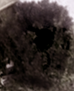 e0103408_0372174.gif
