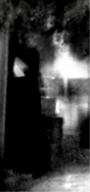 e0103408_0435062.gif