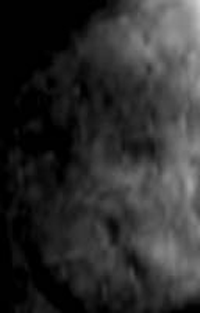 e0103408_0441670.gif