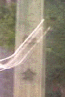 e0103408_04553.gif