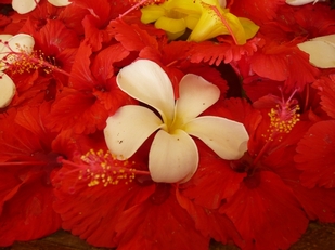 f0221708_14112290.jpg