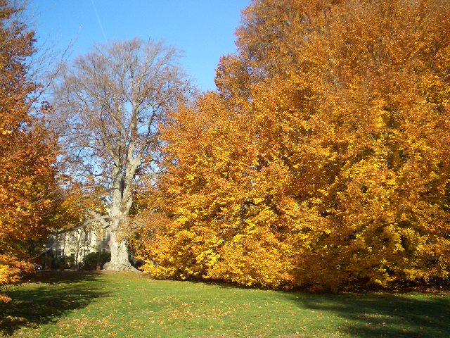 a0161409_141773.jpg