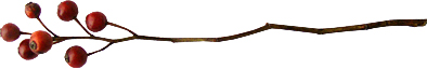 b0179814_21241462.jpg