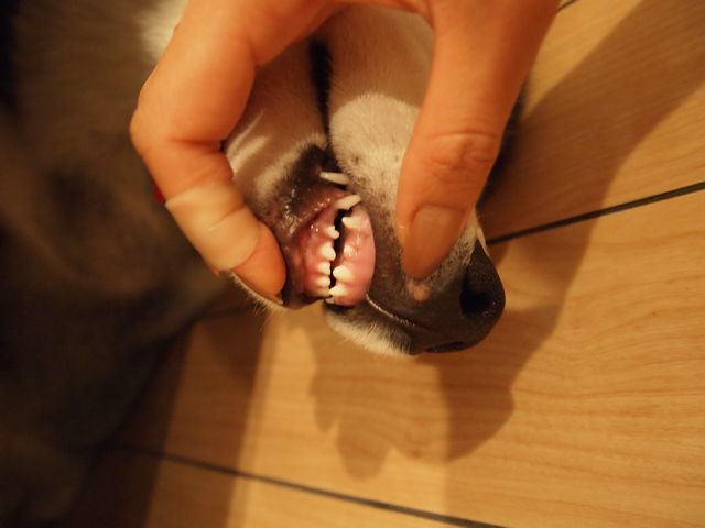 b0207615_21251174.jpg