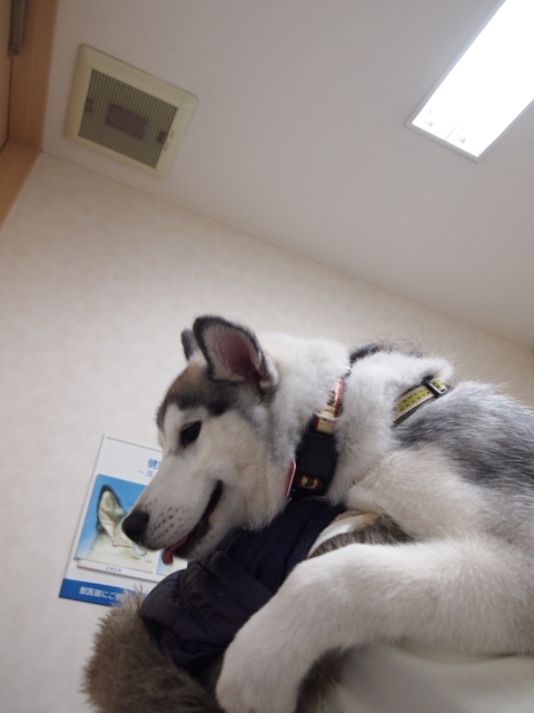b0207615_21254918.jpg