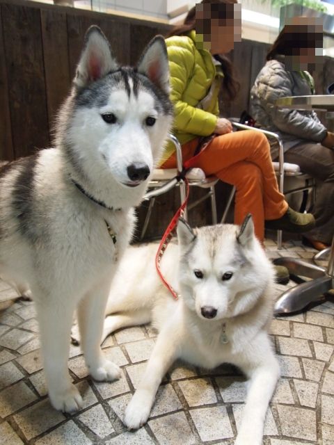 b0207615_21525999.jpg